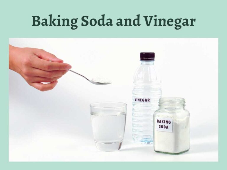 Ratio of Baking Soda to Vinegar for Clean Drains - Tips Must Know